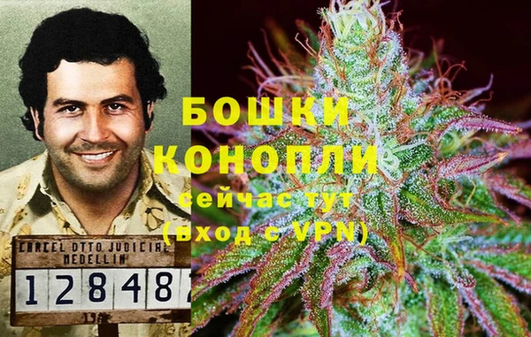 прущие крисы Горно-Алтайск