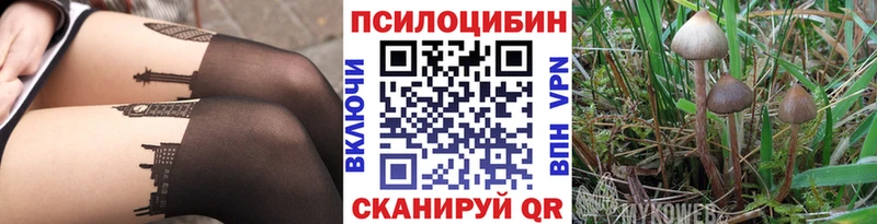 Галлюциногенные грибы Magic Shrooms Донской